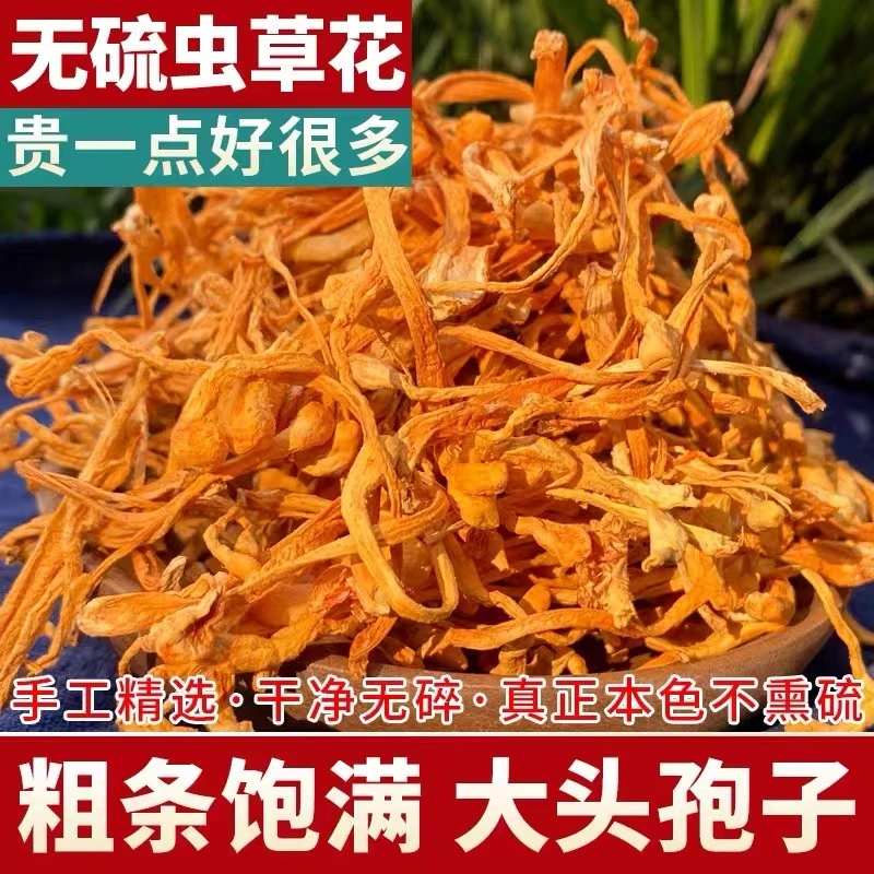 （粉丝福利）云南高山虫草花无硫精选干货炖汤100克