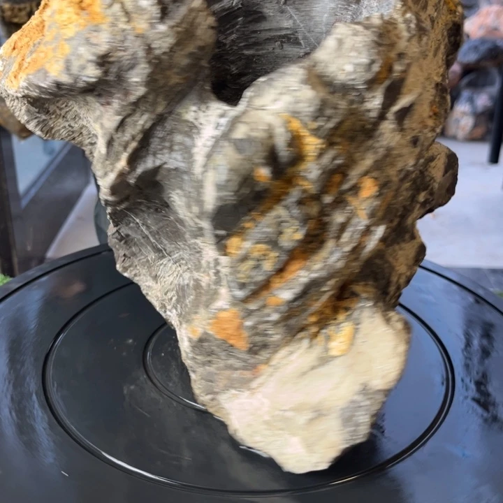 红陶20CM（含）-50CM（不含）建**人