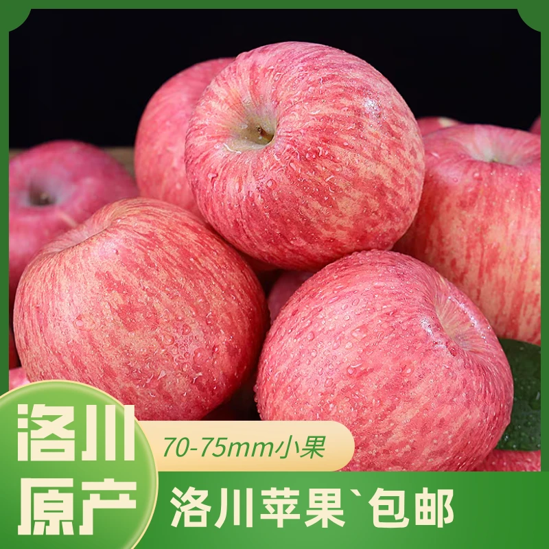 普通装/普通果70-75mm约15枚约4.5斤脆甜 天然 正宗  肉厚 红富士