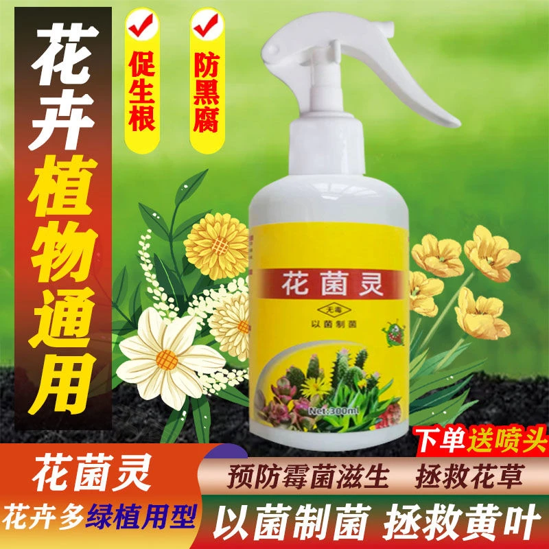 花卉专用除菌灵营养液杀虫剂花菌灵免稀释杀菌喷雾肥料植物通用