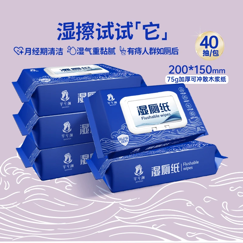芊兮颜湿厕纸可冲马桶便携小包洁阴孕妇专用免洗清洁护理湿厕纸巾