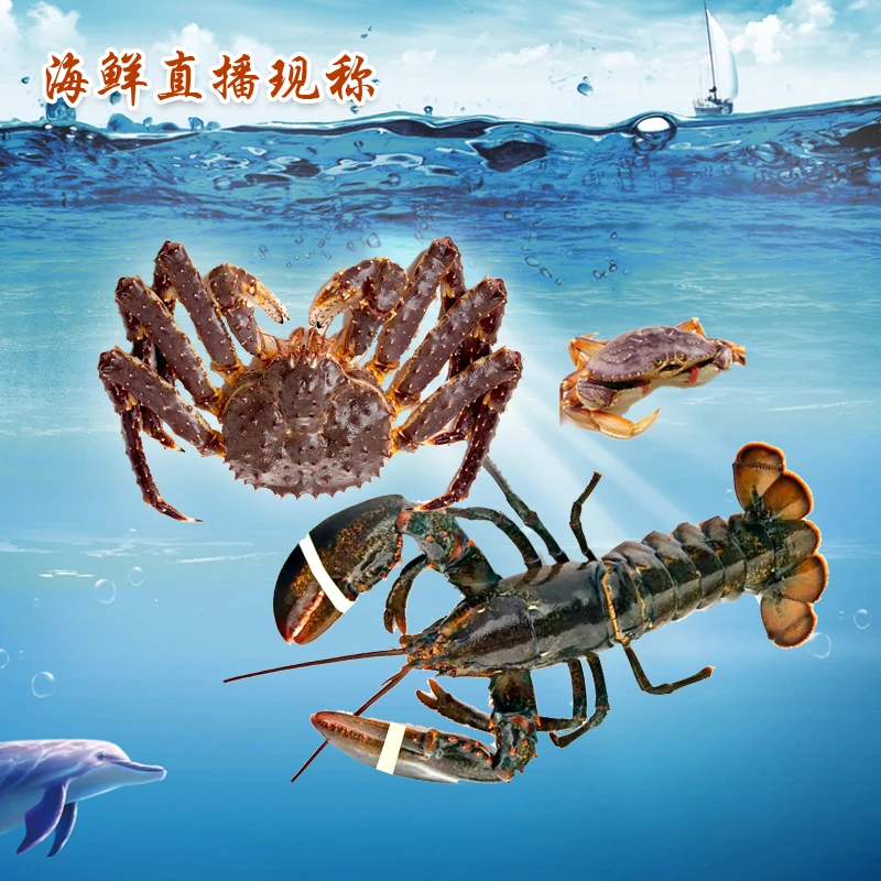 包邮 直播现称海鲜 帝王蟹松叶蟹螃蟹波龙虾 冰鲜发货 顺丰到家