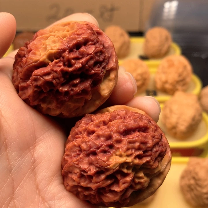 桃核把件龙**祥文玩核桃