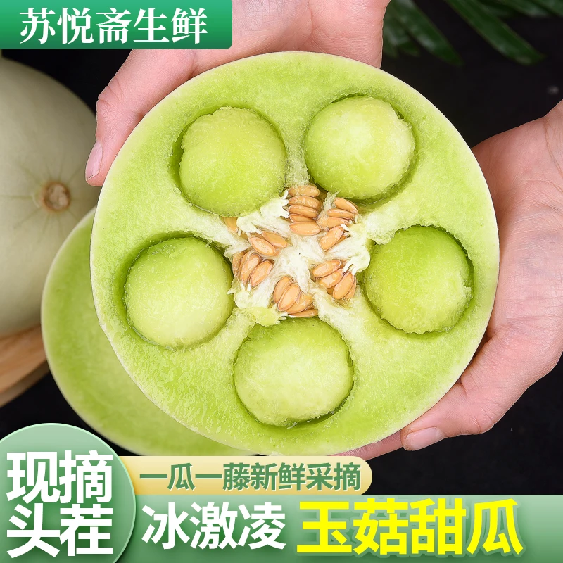 【4.5-5斤到手2个精品一级果】冰激凌玉菇甜瓜皮薄肉厚软糯香甜现摘