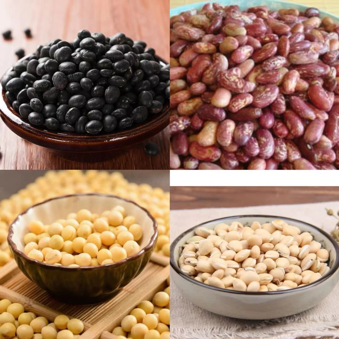 【菇美美】农家自种绿豆 黑豆 青小豆
