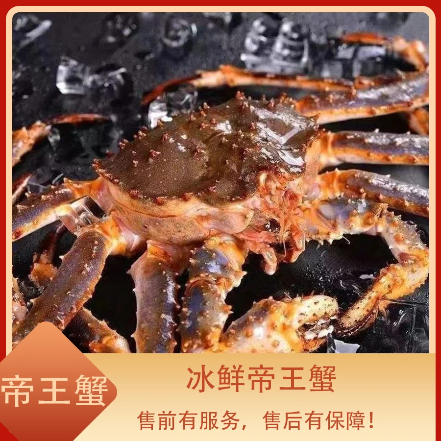 红帝王蟹  大螃蟹青蟹帝 海鲜水产冰鲜帝王蟹鲜蟹超螃