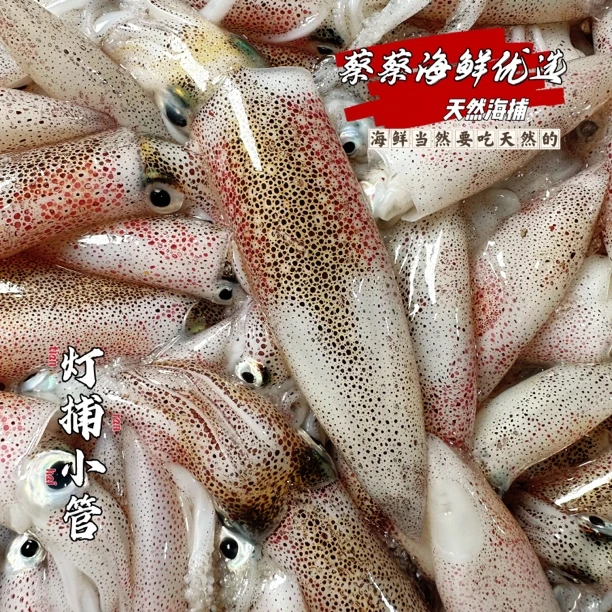 广东汕尾 照灯活冻海兔鱿鱼（笔管）无沙不泡水刺身价格