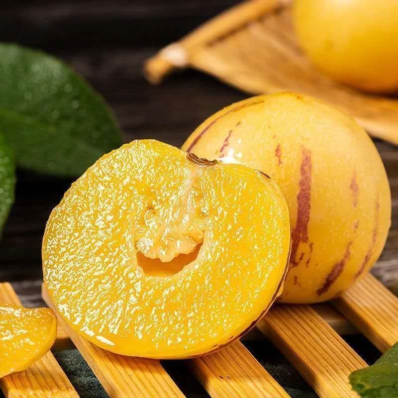 云南石林人参果树上熟黄肉新鲜采摘发货包邮