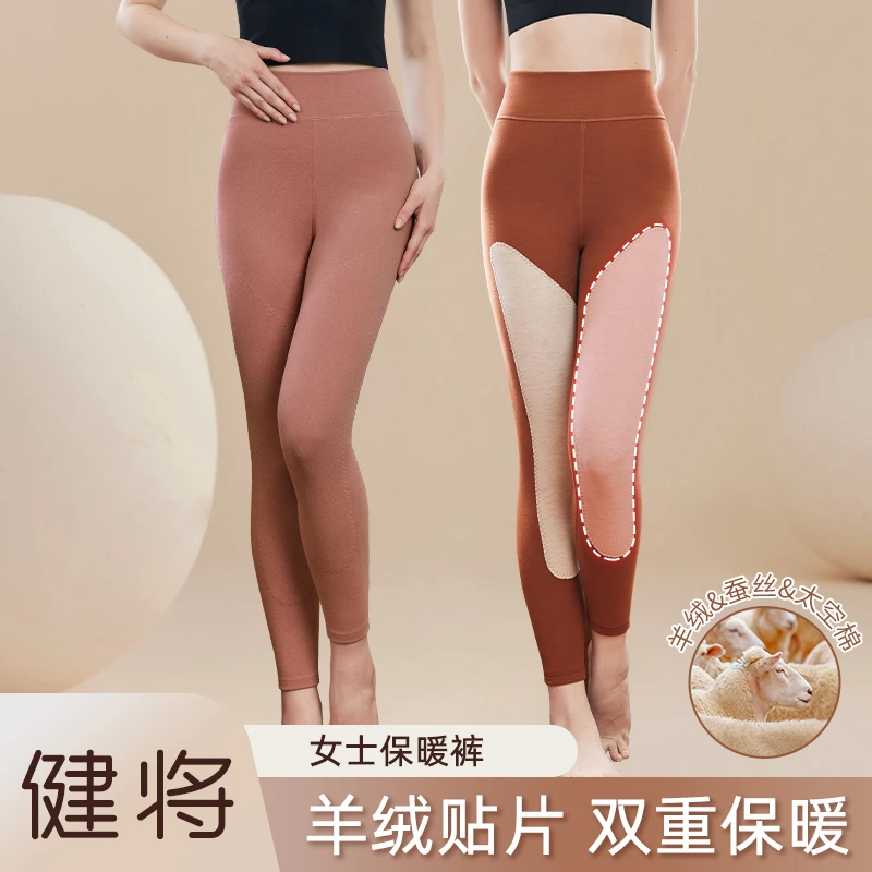 健将新款秋冬羊绒蚕丝护膝保暖裤高弹舒适贴身女士保暖裤2024