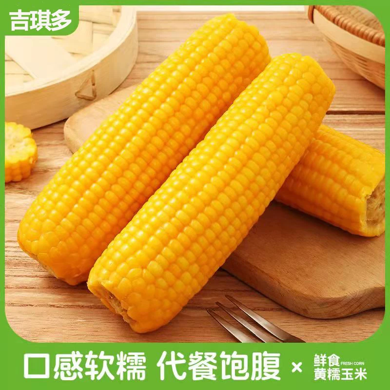 【10穗整箱装】东北黄糯玉米棒新鲜甜糯玉米棒真空包装黏粘玉米