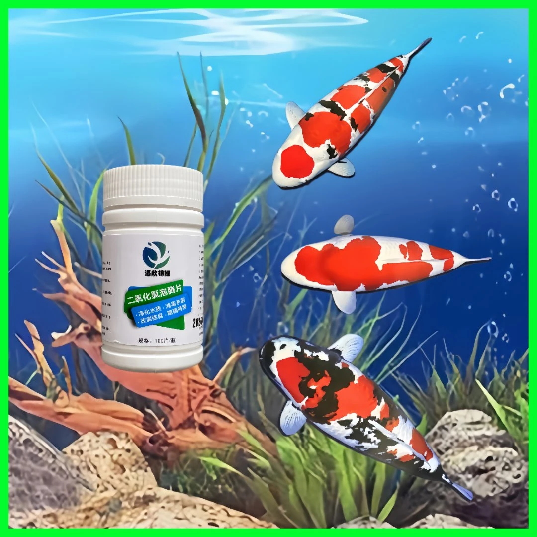 二氧化氯泡腾片锦鲤开缸消毒杀菌净水稳定水质