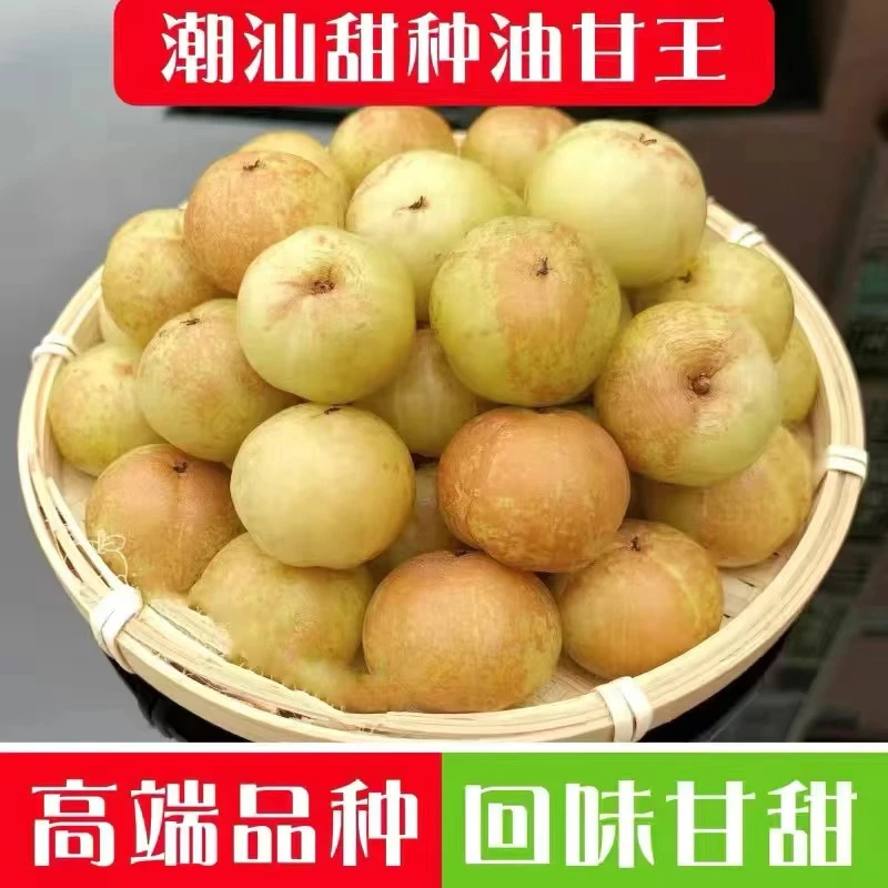 潮汕金灶柿饼甜油柑酥脆回甘甜大果生吃榨汁煲汤一斤装包邮