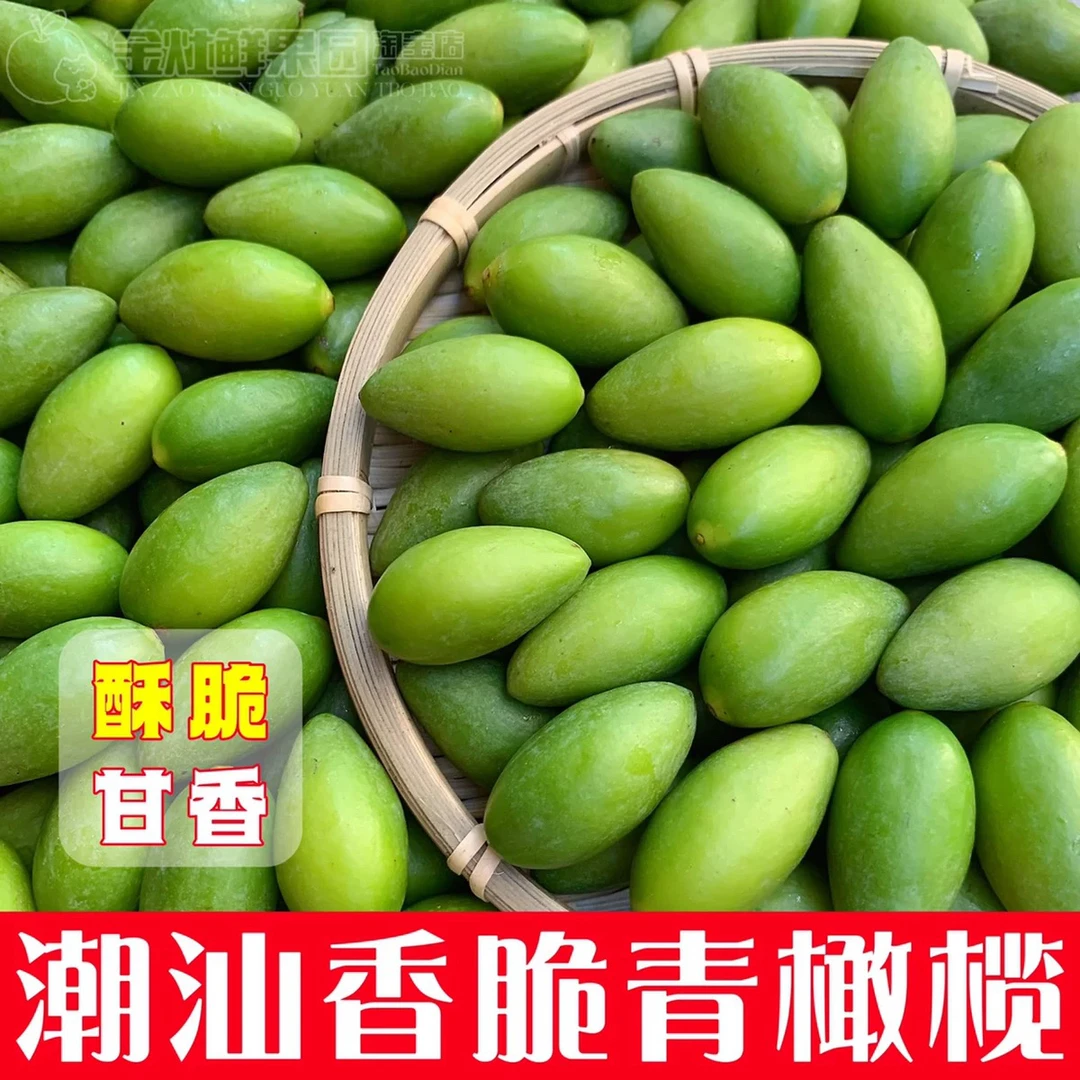潮汕金灶青枣脆橄榄酥脆回甘生吃煲汤榨汁1斤包邮