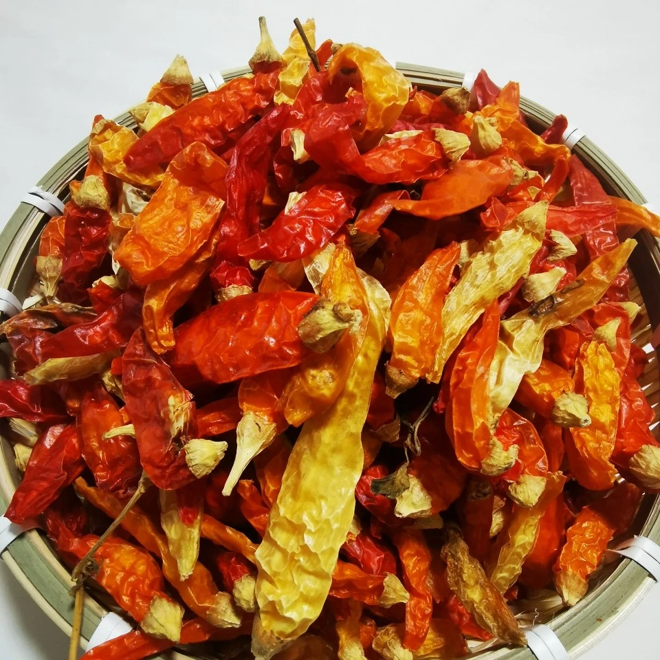 湖南农家土特产超辣干黄椒辣椒高辣朝天椒珍珠五彩椒