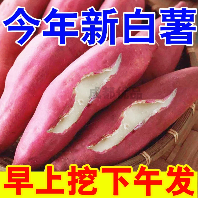 25年新挖白心板栗红薯5斤9斤包邮新鲜蒸煮香甜健康好吃直供