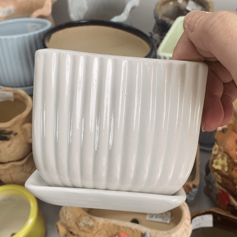 【闪购商品】红陶20CM（含）-50CM（不含）