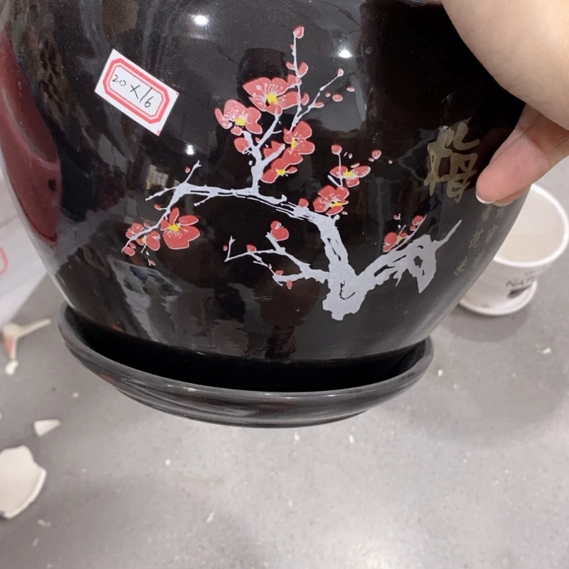 【闪购商品】红陶20CM(含)-50CM(不含)