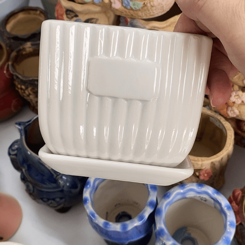 【闪购商品】红陶20CM（含）-50CM（不含）