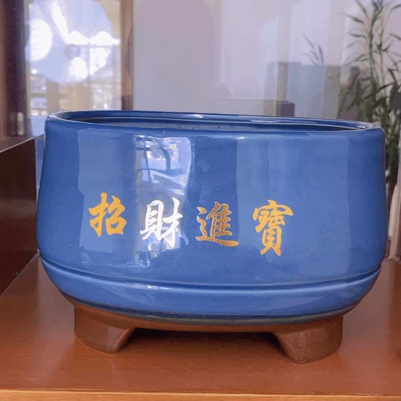 【闪购商品】红陶20CM（含）-50CM（不含）