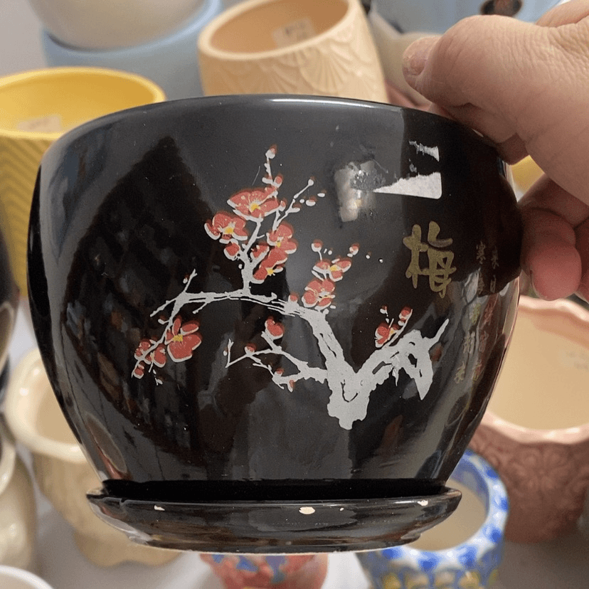 【闪购商品】红陶20CM（含）-50CM（不含）