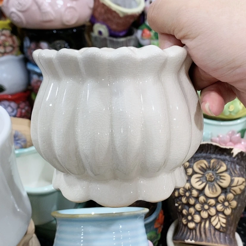 【闪购商品】陶瓷20CM以下