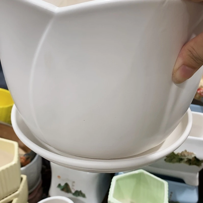 【闪购商品】红陶20CM（含）-50CM（不含）