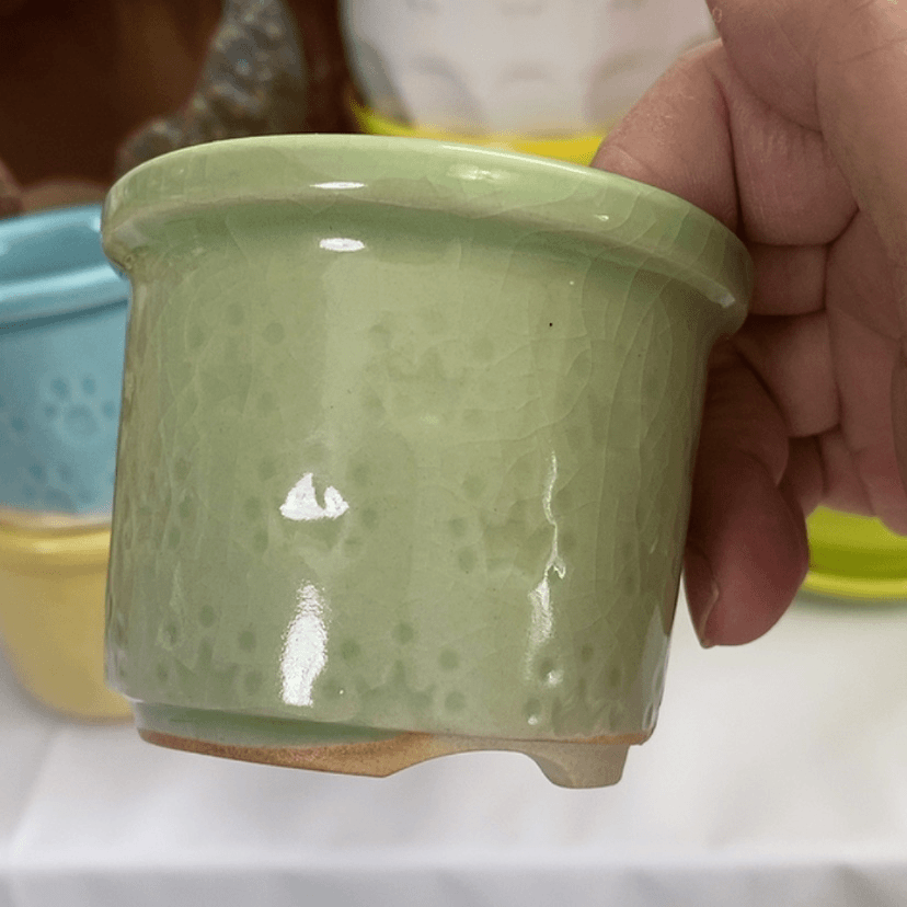 【闪购商品】红陶20CM（含）-50CM（不含）