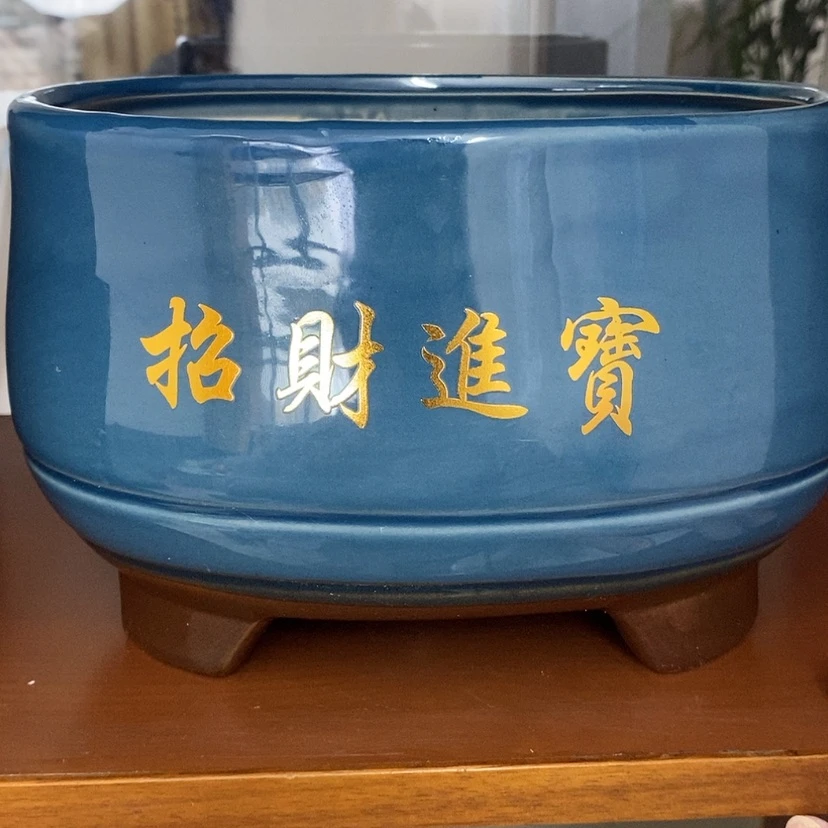 【闪购商品】红陶20CM（含）-50CM（不含）