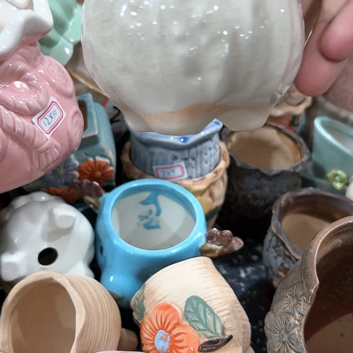 红陶20CM（含）-50CM（不含）多肉花盆全场清仓