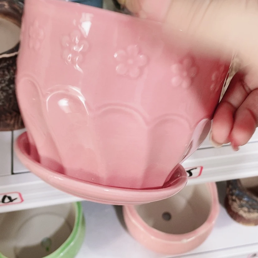 【闪购商品】红陶20CM（含）-50CM（不含）