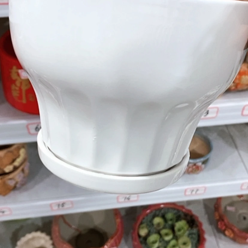 【闪购商品】红陶20CM（含）-50CM（不含）