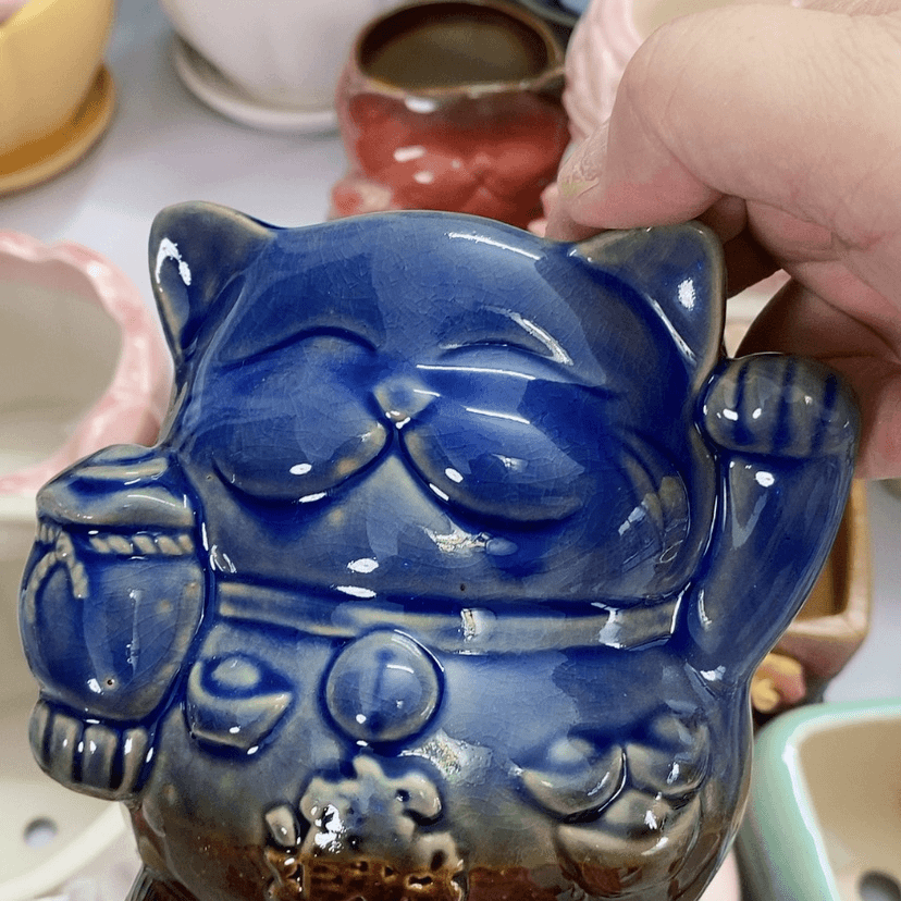【闪购商品】红陶20CM（含）-50CM（不含）