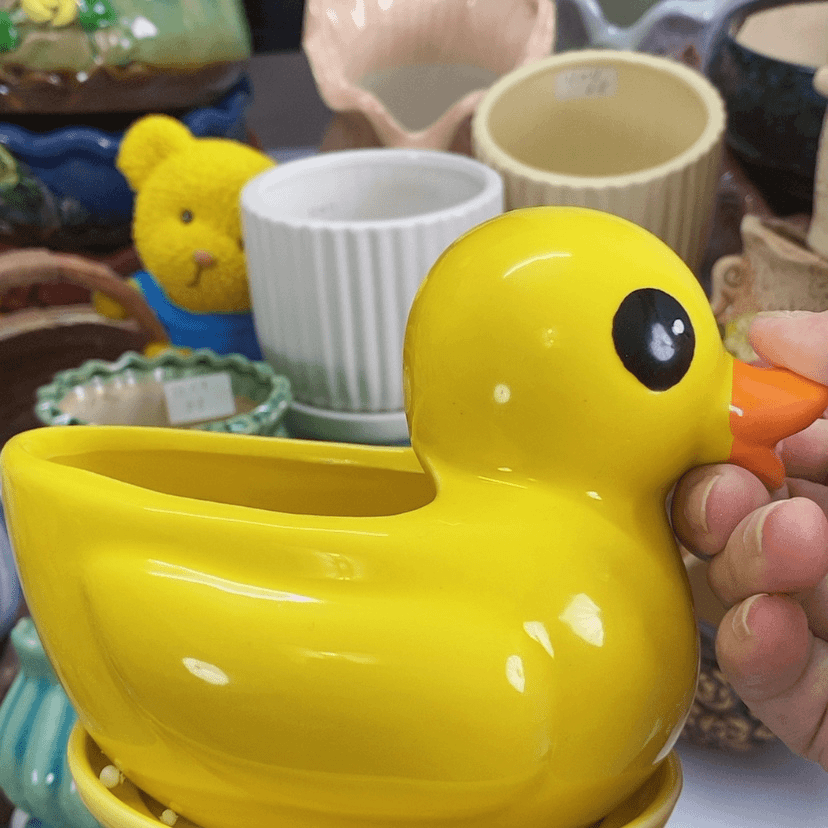 【闪购商品】红陶20CM（含）-50CM（不含）