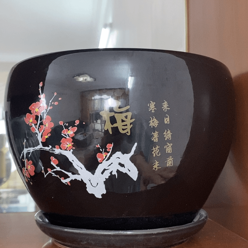 【闪购商品】红陶20CM（含）-50CM（不含）