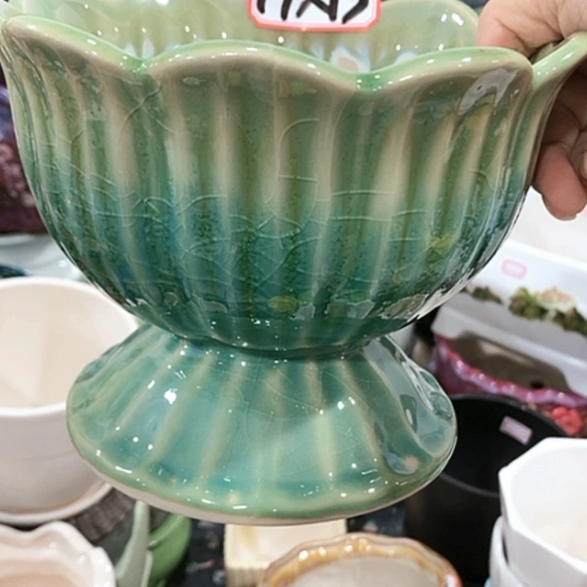 【闪购商品】红陶20CM（含）-50CM（不含）
