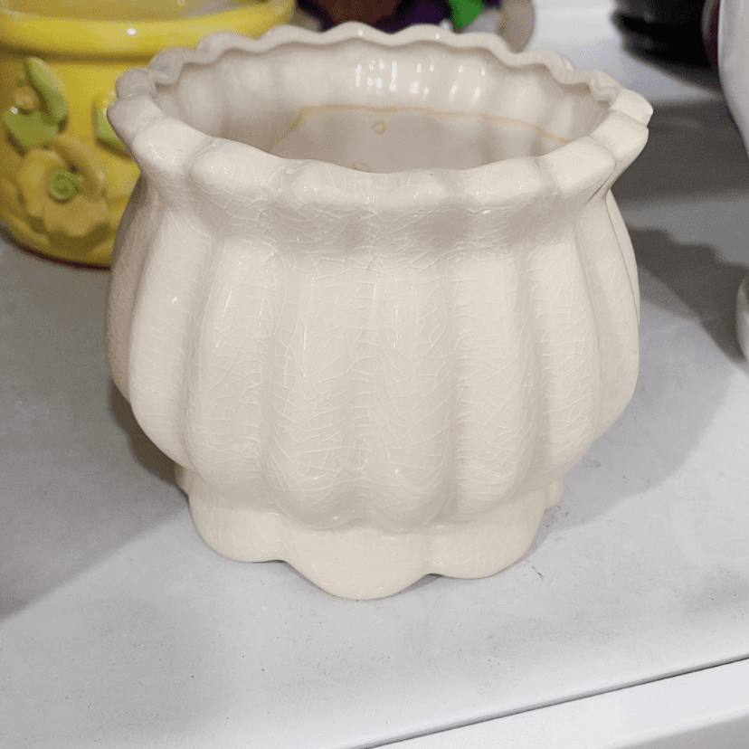 【闪购商品】红陶20CM（含）-50CM（不含）