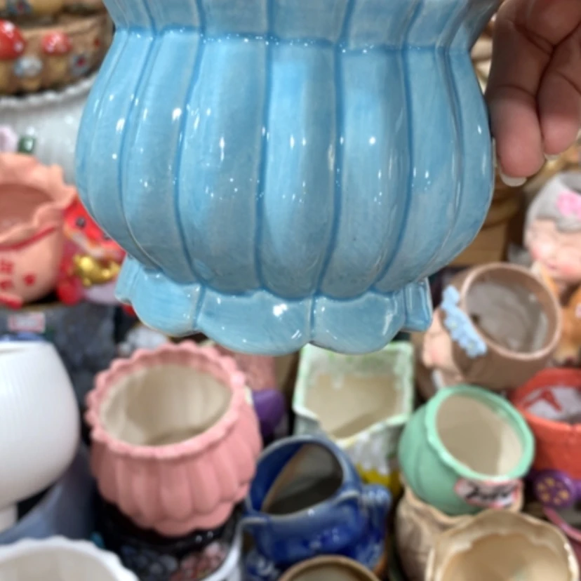 【闪购商品】红陶20CM（含）-50CM（不含）