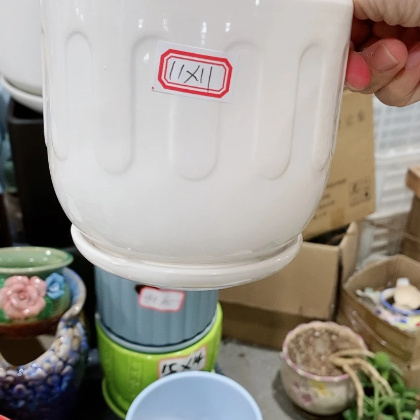 【闪购商品】红陶20CM（含）-50CM（不含）