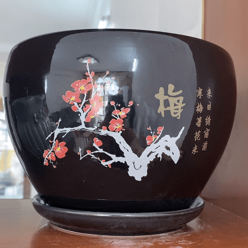 【闪购商品】红陶20CM（含）-50CM（不含）