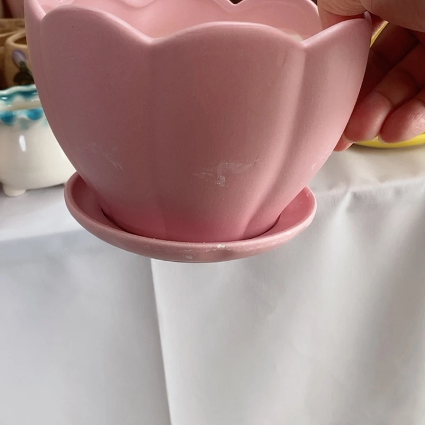 【闪购商品】红陶20CM（含）-50CM（不含）