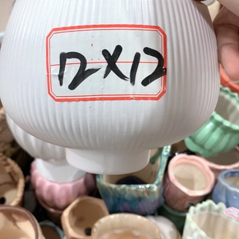 【闪购商品】红陶20CM（含）-50CM（不含）