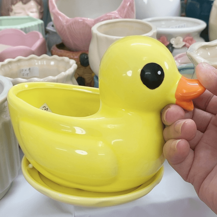 【闪购商品】红陶20CM（含）-50CM（不含）