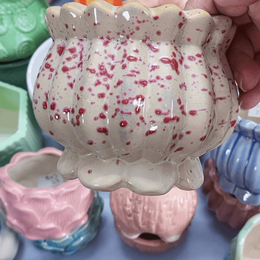 【闪购商品】红陶20CM（含）-50CM（不含）