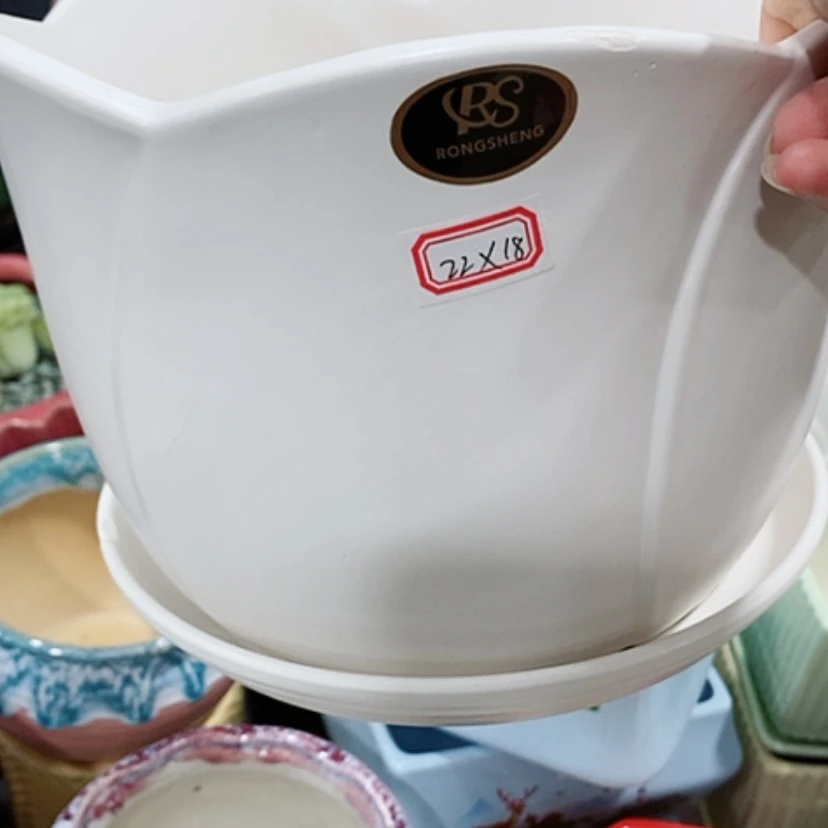 【闪购商品】红陶20CM（含）-50CM（不含）