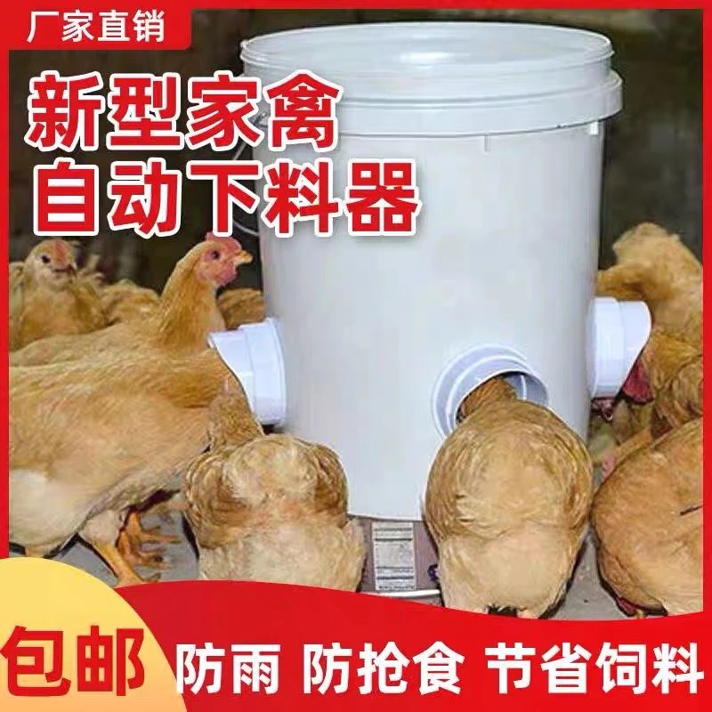 【喂鸡再也没烦恼】自动喂食神器 送安装打孔器 养殖户更省心了！