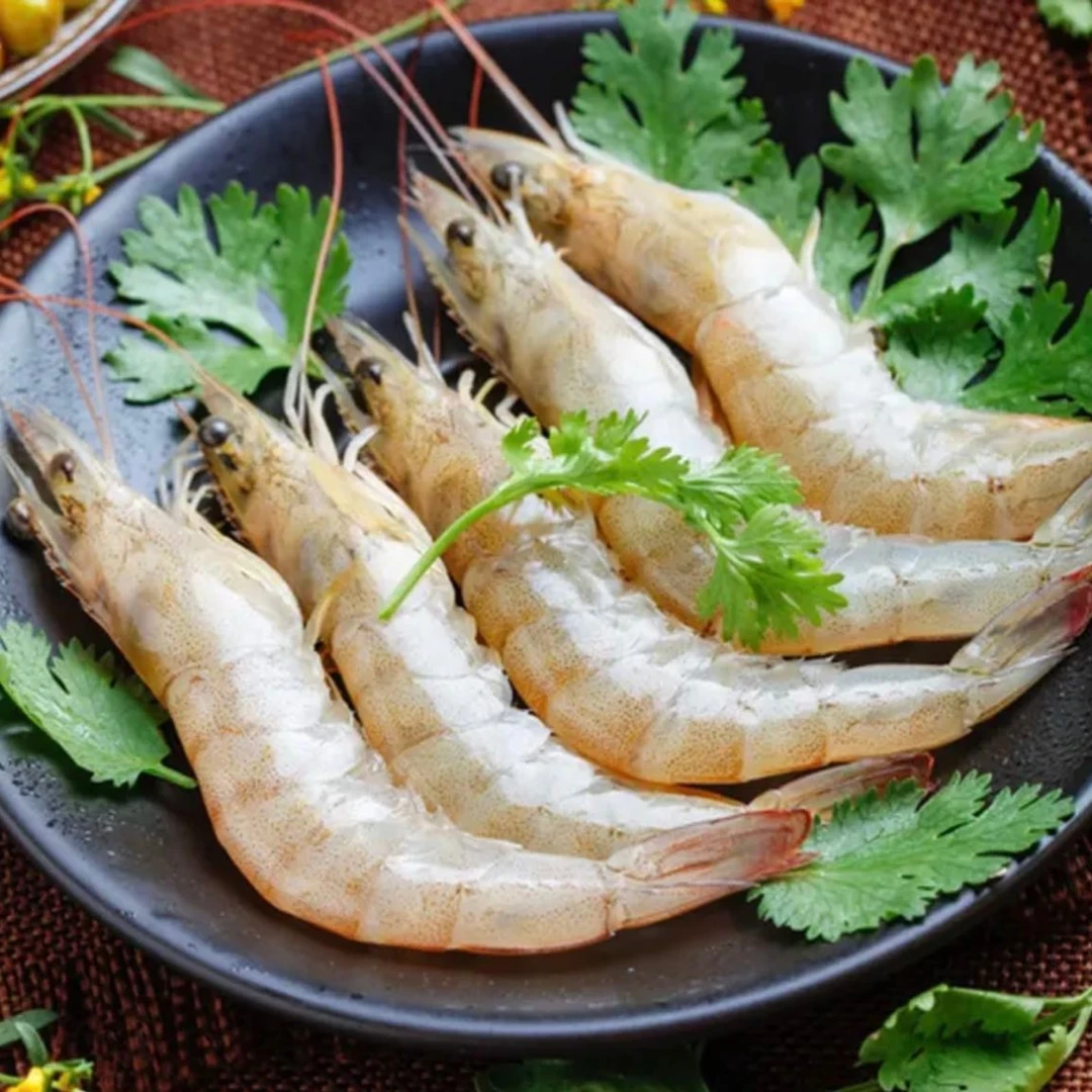 【小神龙】合易泓深海大虾