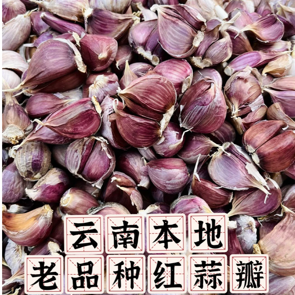 【云南老品种真红蒜】新蒜【十成干蒜】农家本地蒜瓣  2-3-5-10斤