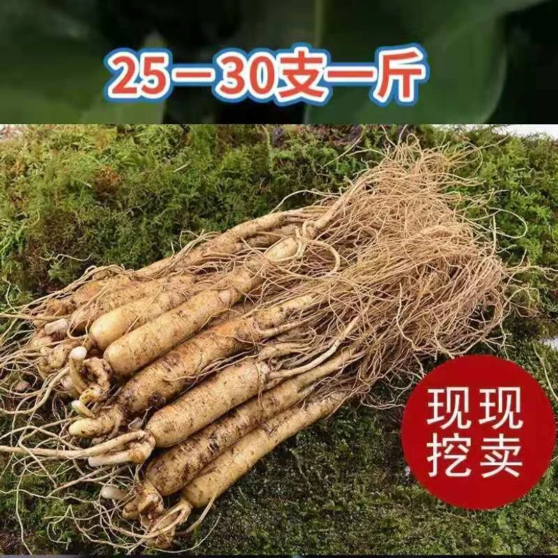 长白山吃货鲜人参25-30 支一斤，净重500克