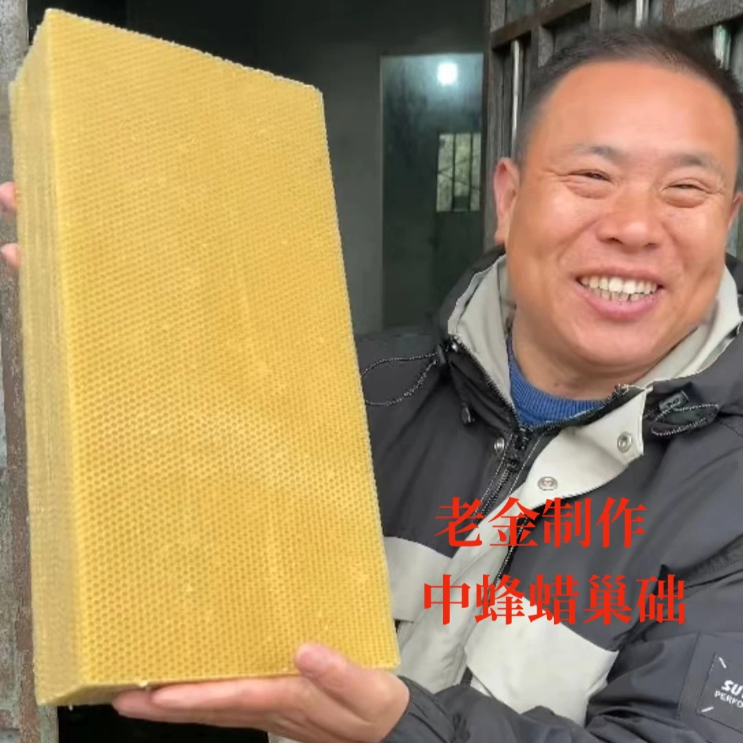 老金中蜂养殖专用蜂蜡巢础