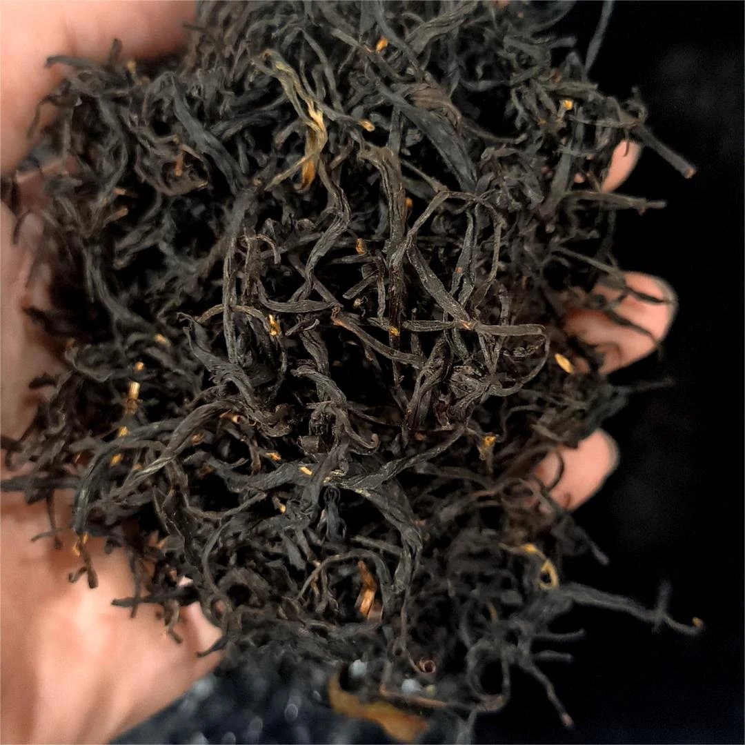 坦洋工夫2024年金牡丹2号红茶